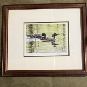 Framed Loon Art Print